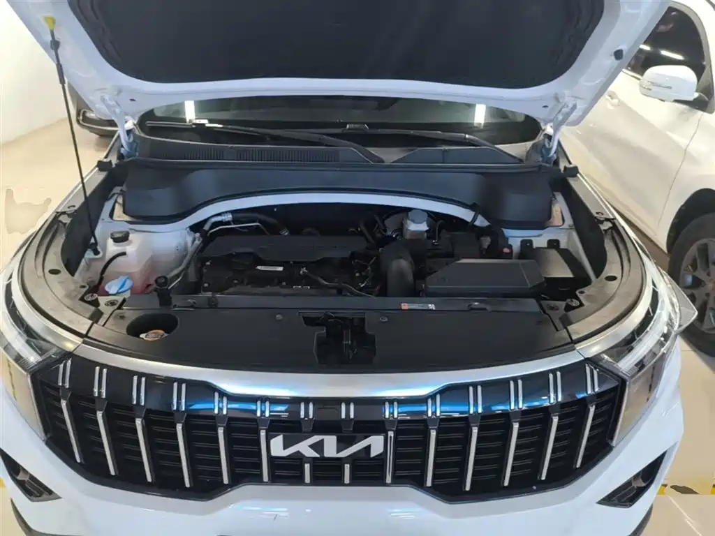 Kia Sportage 2021 Ace 2.0L Challenge Edition фото 20