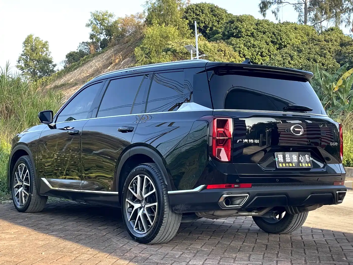 GAC Trumpchi Trumpchi GS8 2022 Pilot Series 2.0TGDI 2WD Luxury Smart Connect Edition (7-Seater) фото 5