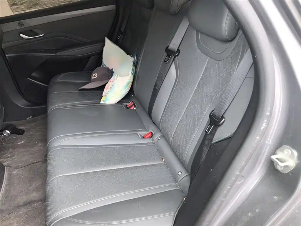 BYD Qin PLUS 2025 DM-i Smart Drive 55KM Leader фото 13