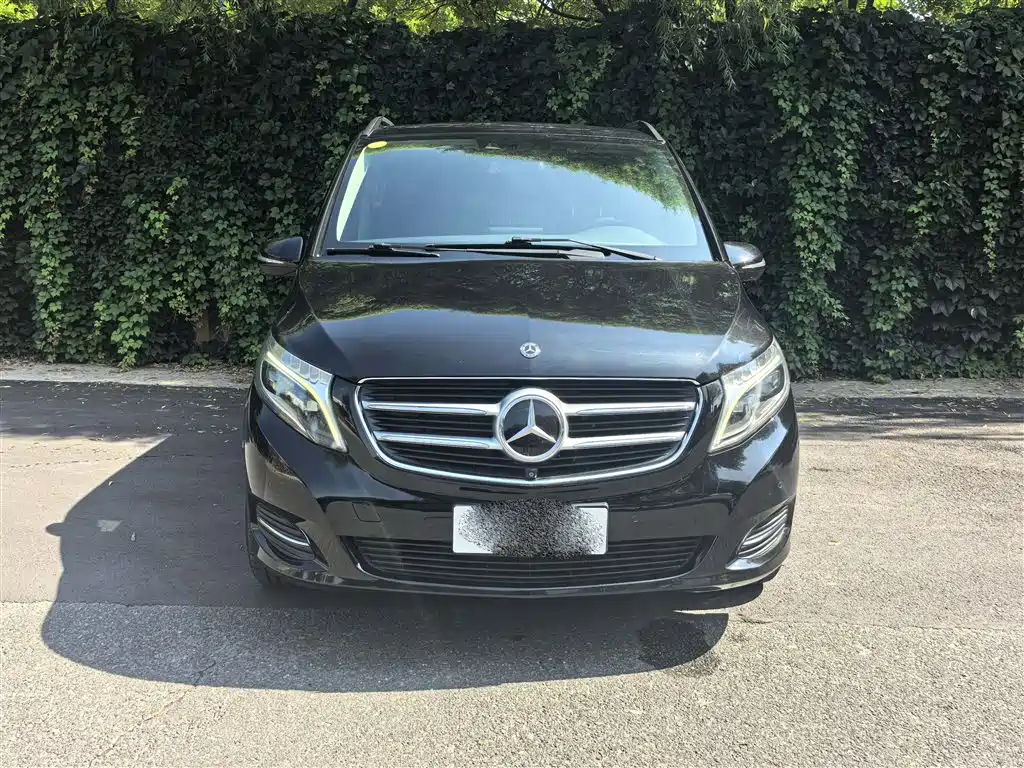 Mercedes-Benz V-Class 2018 V 260 L Premium Long Version China V фото 2