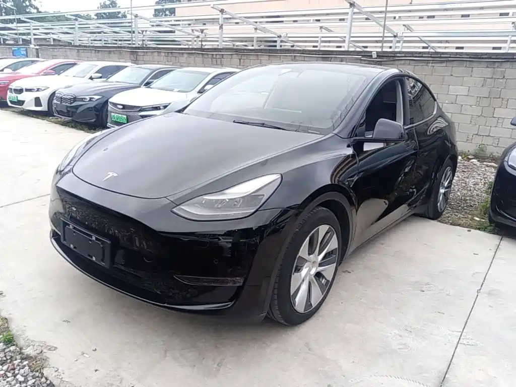 Tesla Model Y 2021 Long Range All-Wheel Drive 3D7