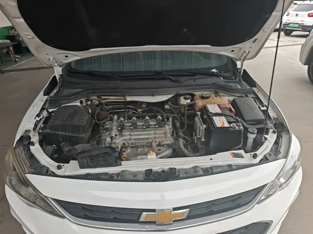 Chevrolet Cavalier 2019 320 Auto Sunroof Enjoyment Edition фото 16