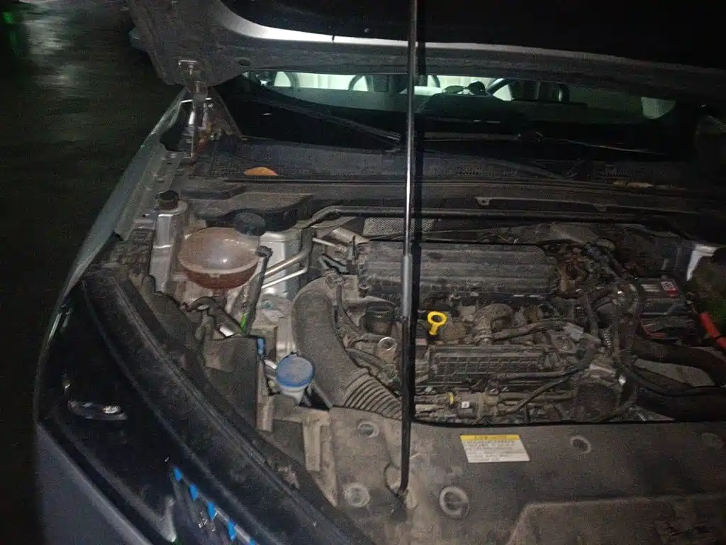 Dongfeng Aeolus Haohan 2024 2023 DH-i 1.5T Premium Edition