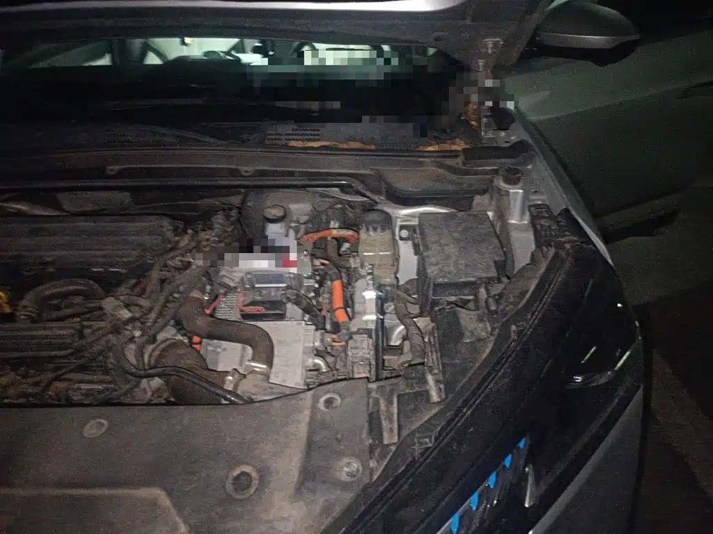 Dongfeng Aeolus Haohan 2024 2023 DH-i 1.5T Premium Edition