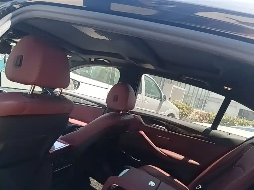 BMW 5 Series 2019 530Li Leading M Sport Package фото 18