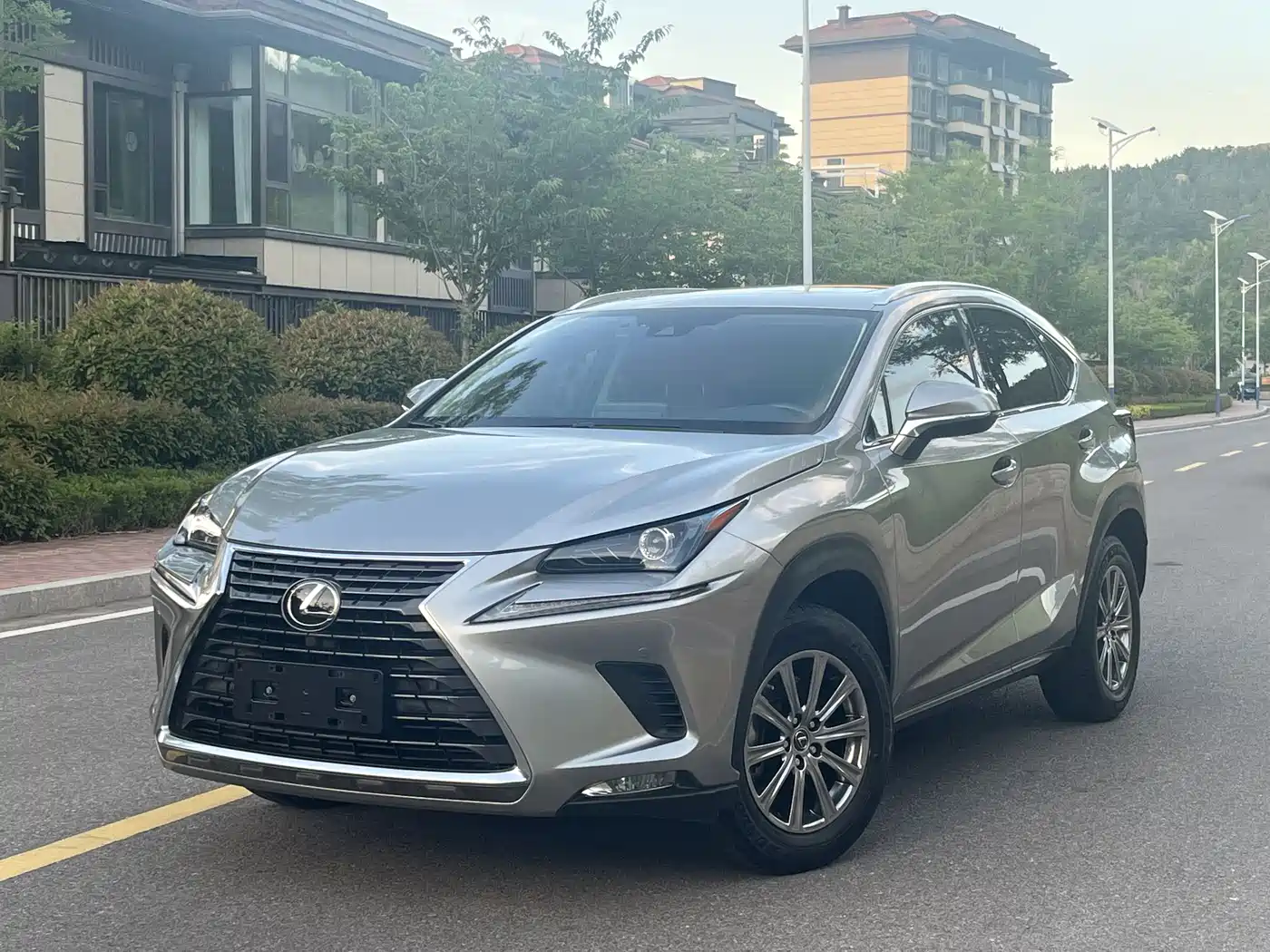 Lexus NX 2020 200 AWD F Sport China VI