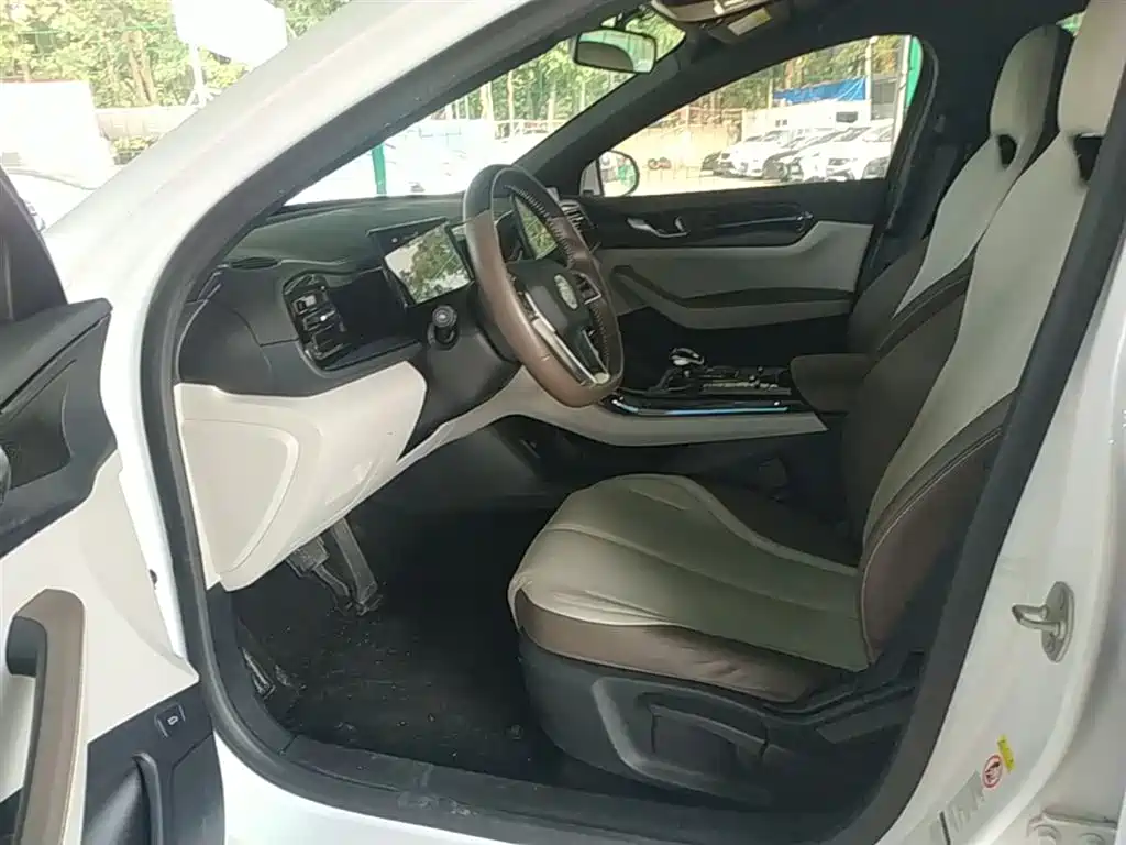 BYD Qin PLUS 2023 Champion Edition DM-i 55KM Leading фото 15
