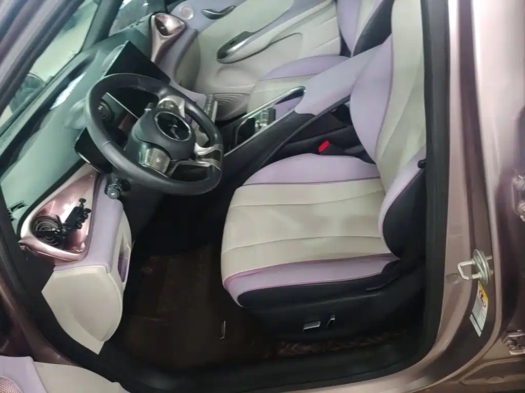 BYD Dolphin 2022 2021 401km Knight Edition