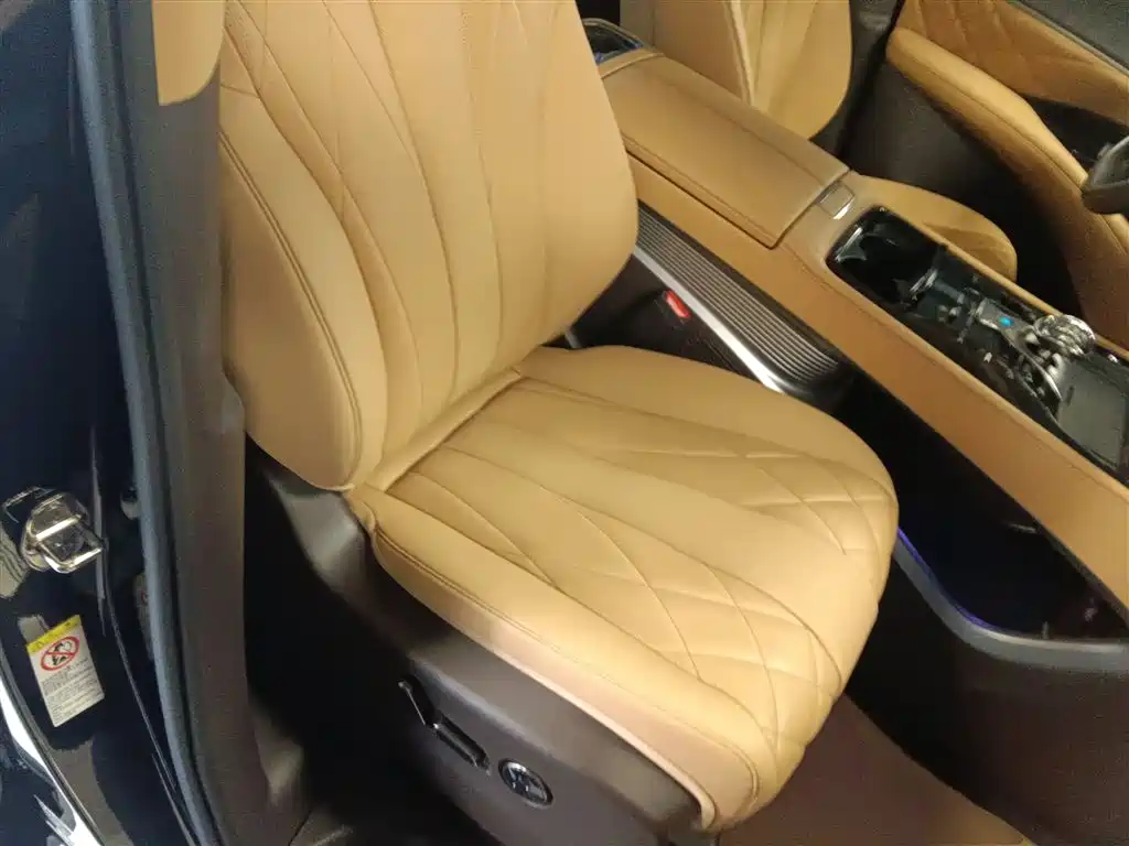 Denza D9 2025 DM-i Smart Drive Edition 1020 AWD Premium фото 20