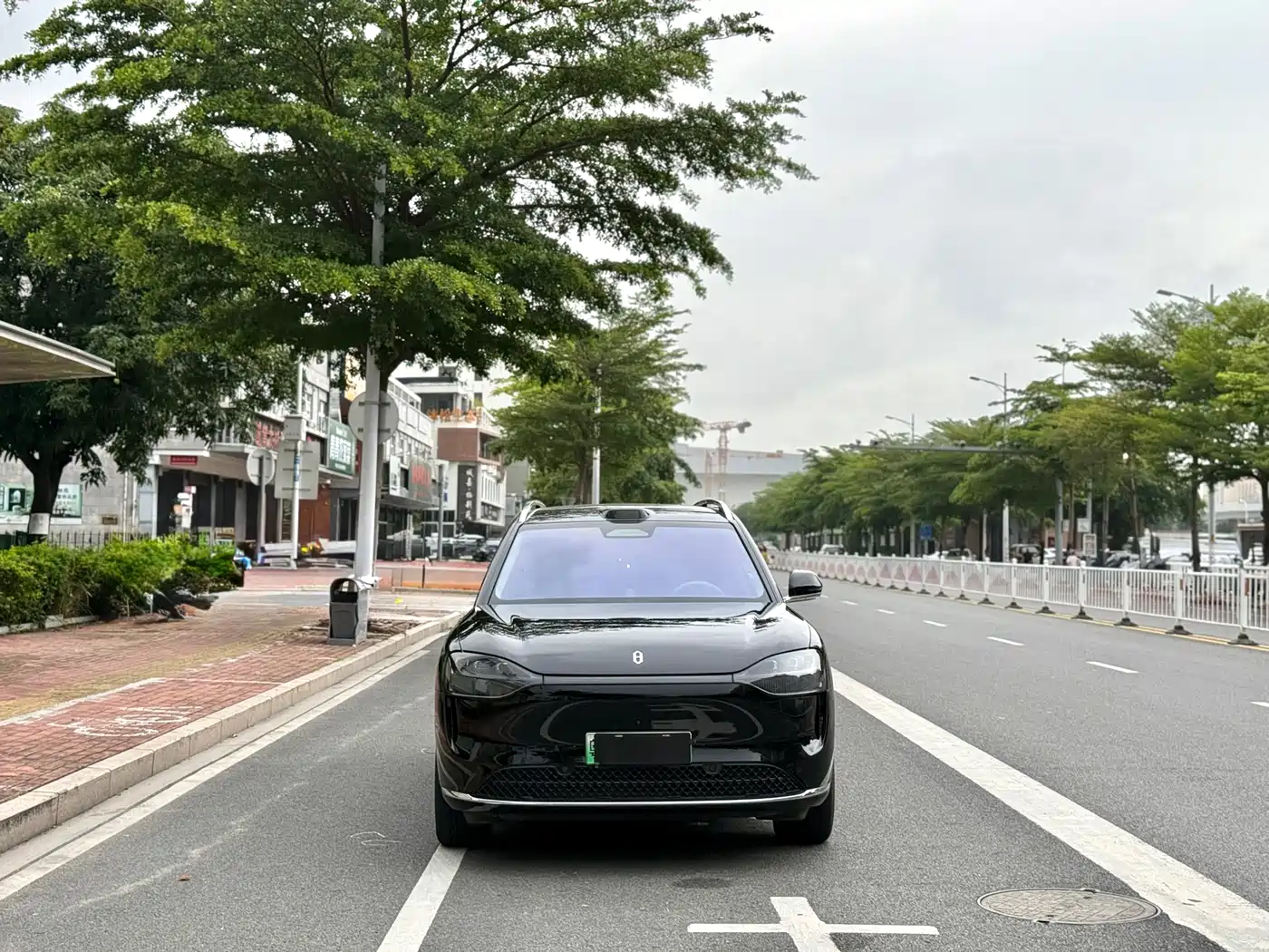 AITO Wenjie AITO M9 2024 Extended Range Ultra 42kWh 6-Seater фото 2