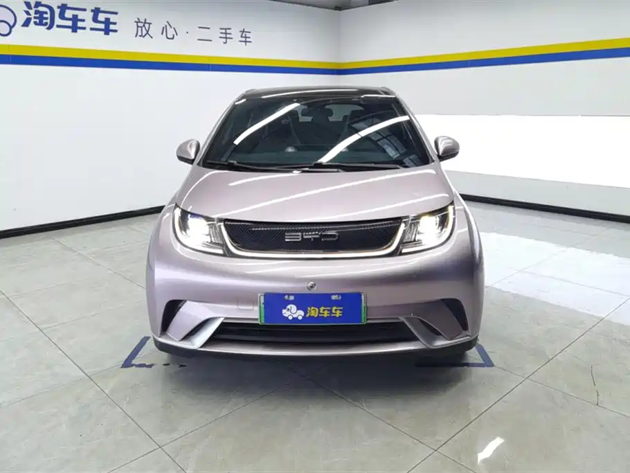 BYD Dolphin 2021 Model 405km Fashion Edition фото 2