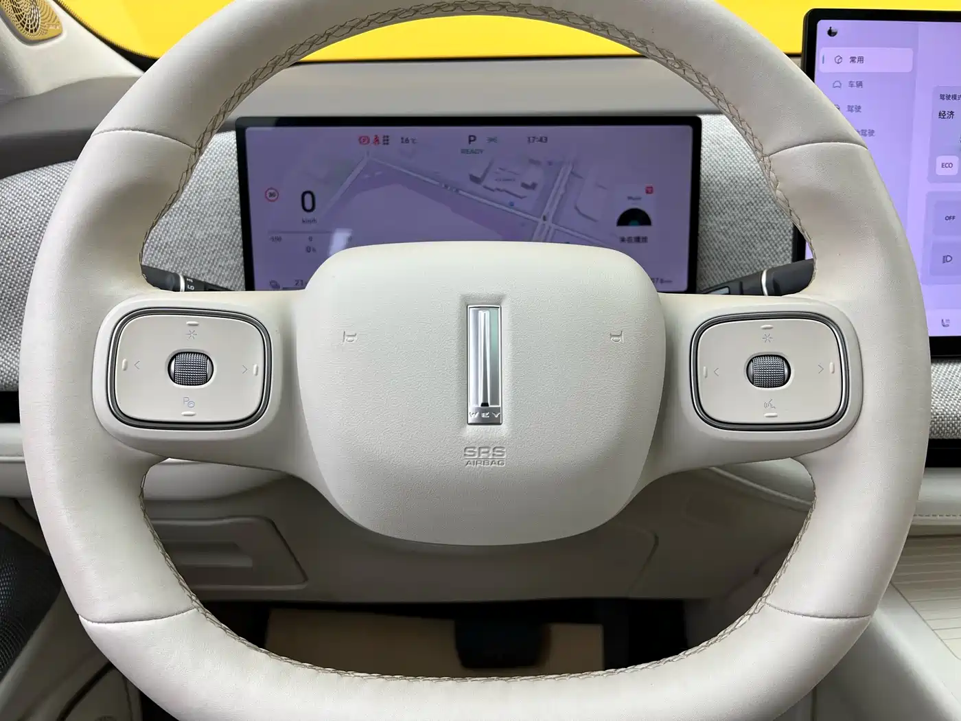 WEI PAI WEI BRAND BLUE MOUNTAIN