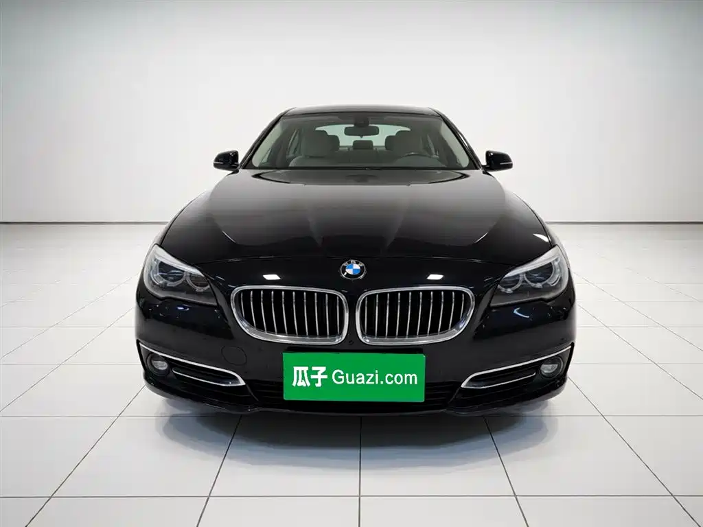 BMW 5 Series 2017 525Li Luxury Design Package фото 2