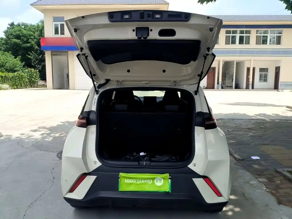  BYD Seagull 2023 Freedom Edition 19