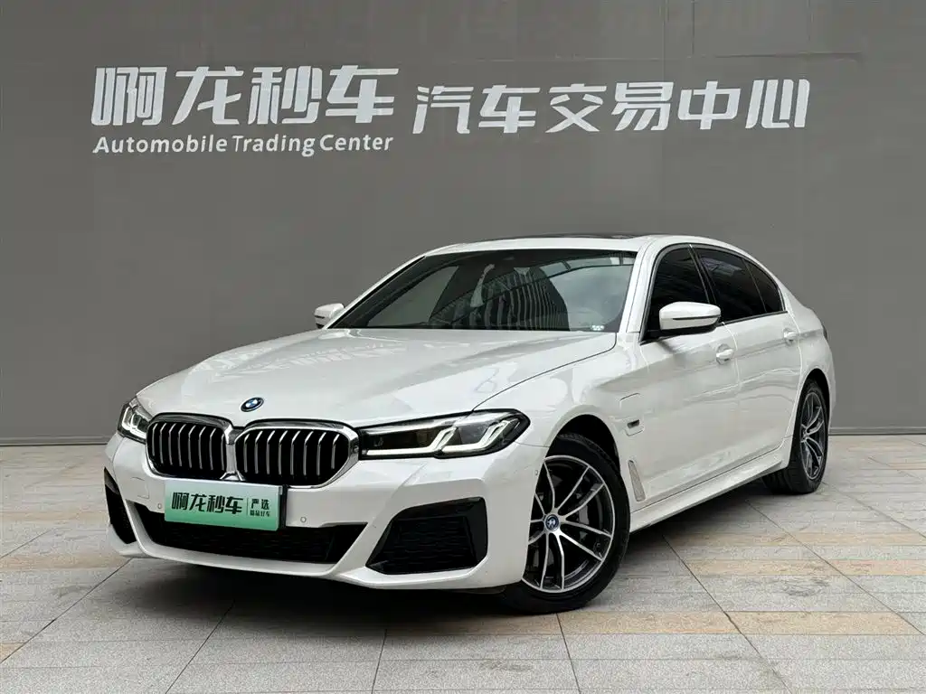 BMW 5 SERIES NEW ENERGY