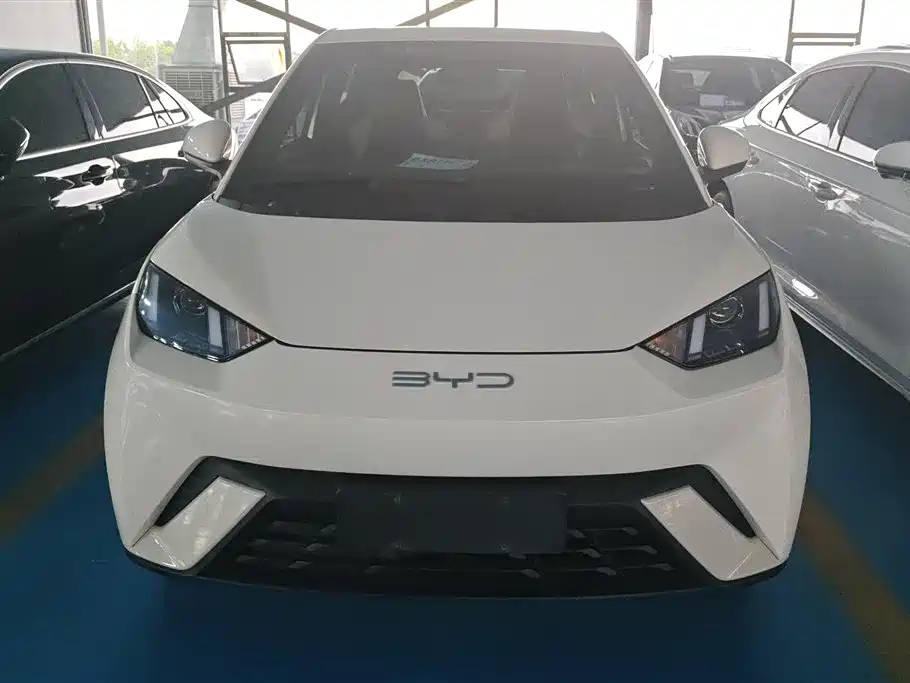 BYD Seagull 2023 Vitality Edition фото 2