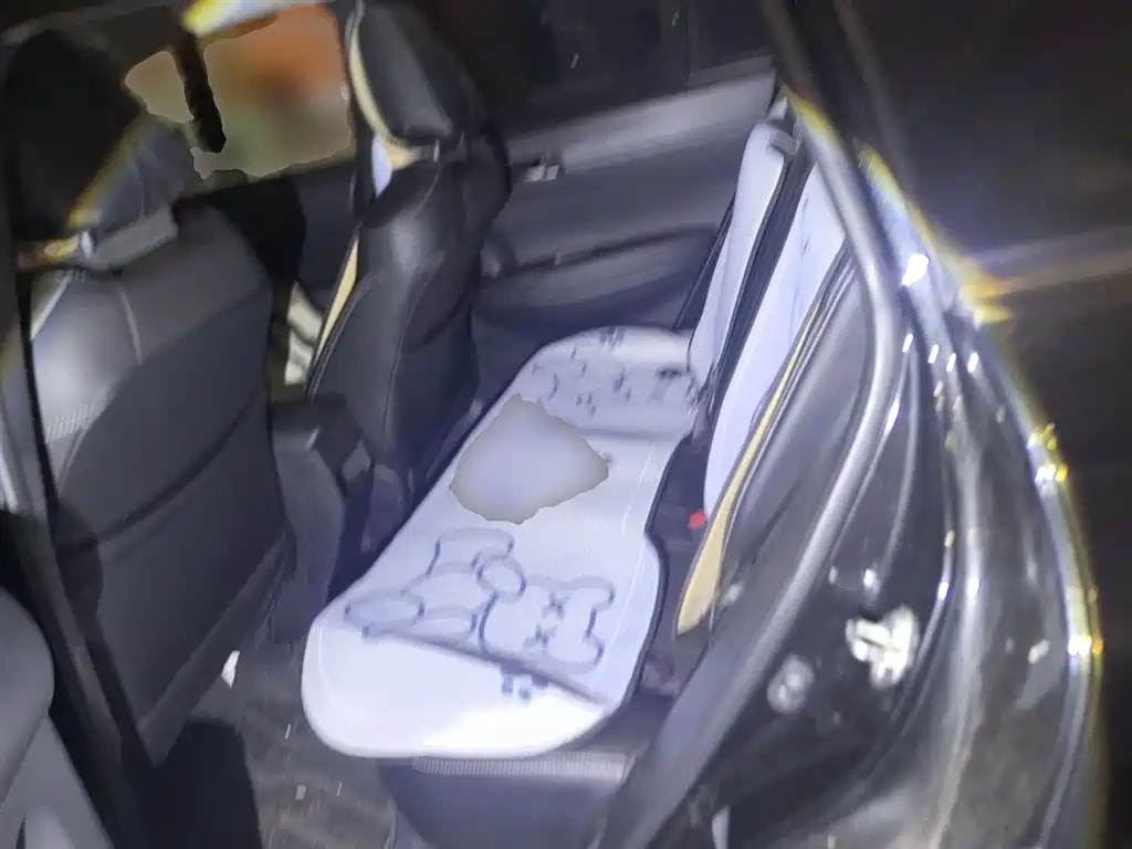 Toyota Corolla Cross 2022 2.0L Pioneer Edition фото 18