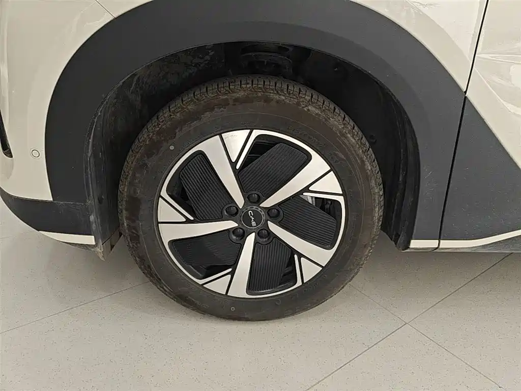 BYD Hai Shi 05 EV 2025 520KM Smart Navigation Edition фото 23