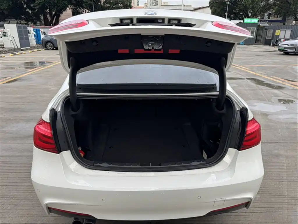 BMW 3 Series 2017 320Li M Sport фото 10