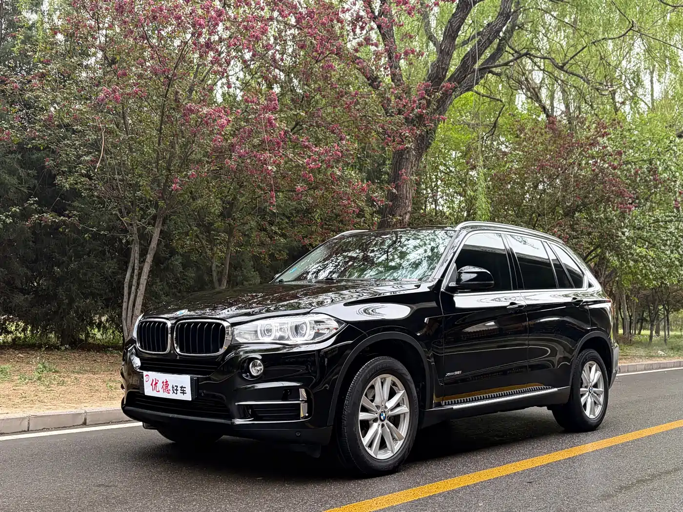 BMW X5 (Import) 2017 xDrive35i Elegance