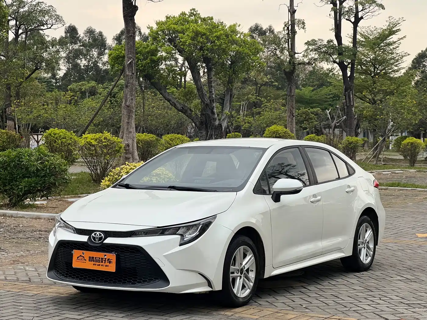 Toyota Levin 2019 185T CVT Progressive Edition China V