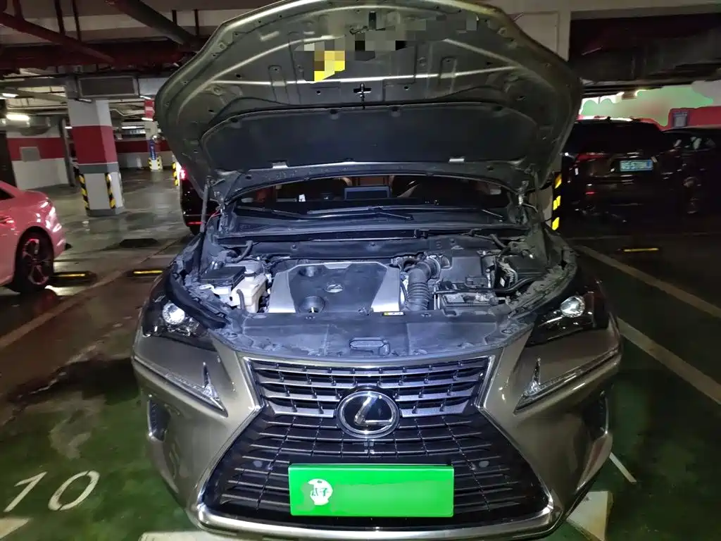 Lexus NX 2018 Model 200 FWD Fengxing Edition China V фото 21