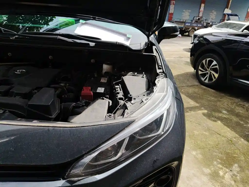 Toyota Wildlander 2023 2.0L CVT FWD Luxury PLUS фото 24