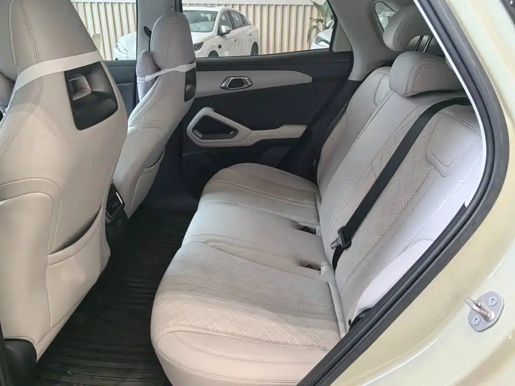 BYD Yuan UP 2025 2025 Smart Drive Edition 401KM Leading Type