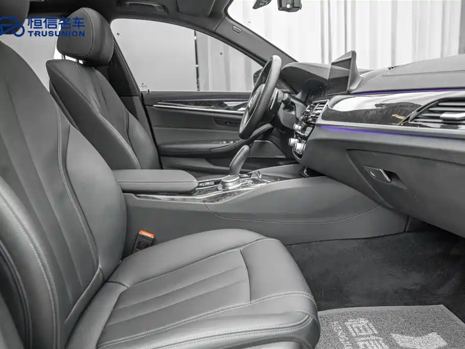 BMW 5 Series 2020 530Li Leading M Sport Package фото 15