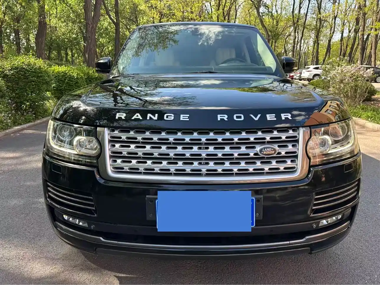 Land Rover Range Rover 2014 3.0 TDV6 Vogue фото 2