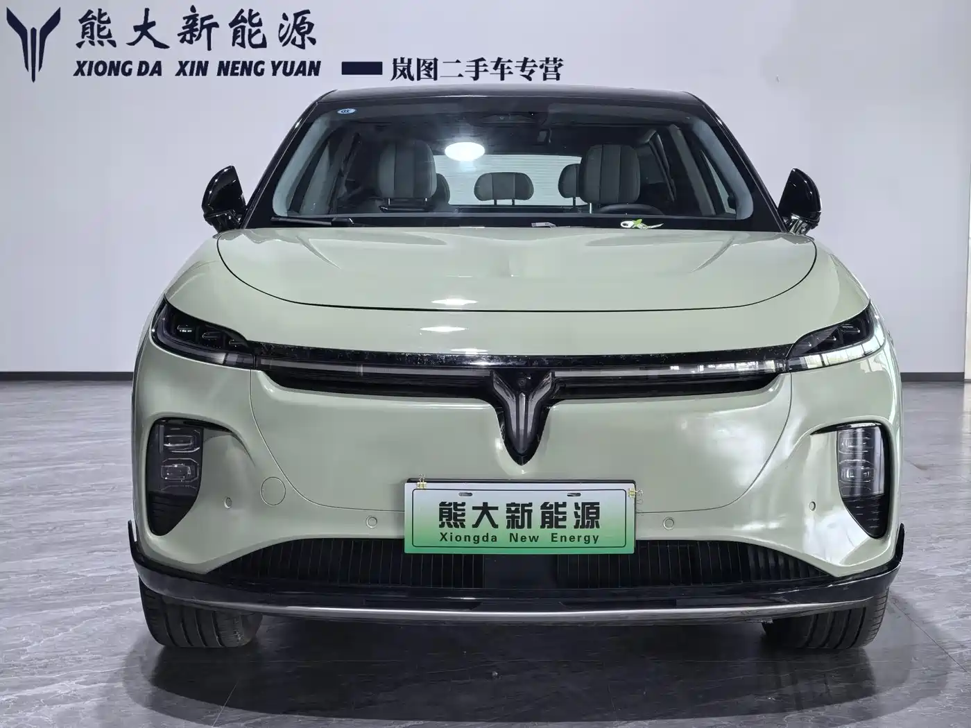 Voyah Auto Voyah Zhiyin 2024 Long Range Smart Edition фото 2