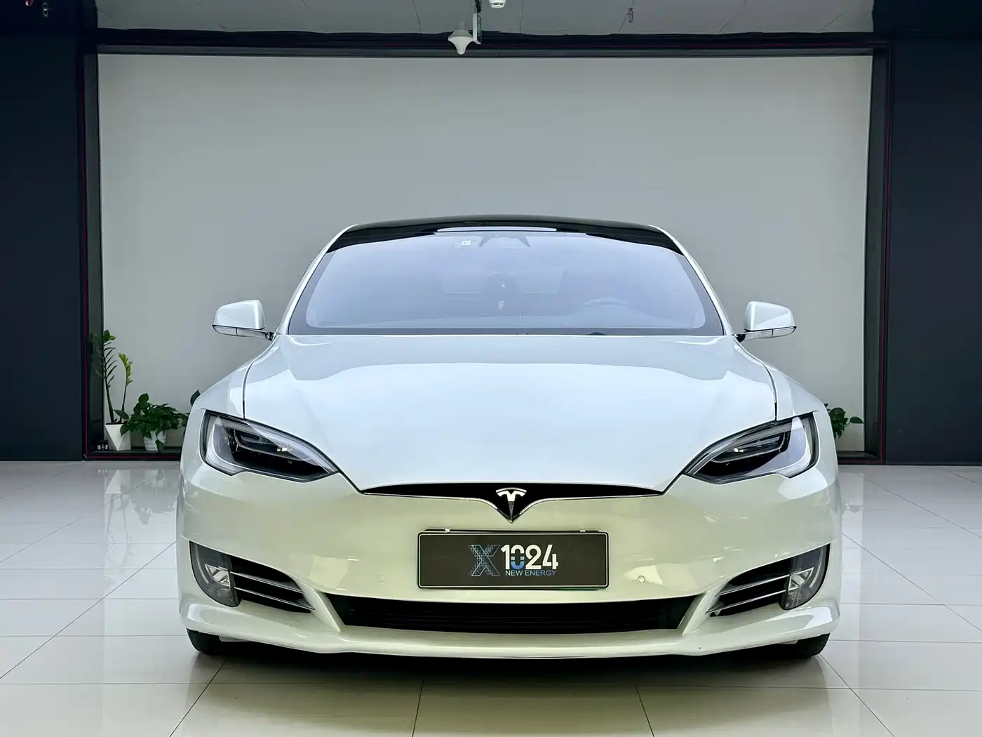 TESLA MODEL S