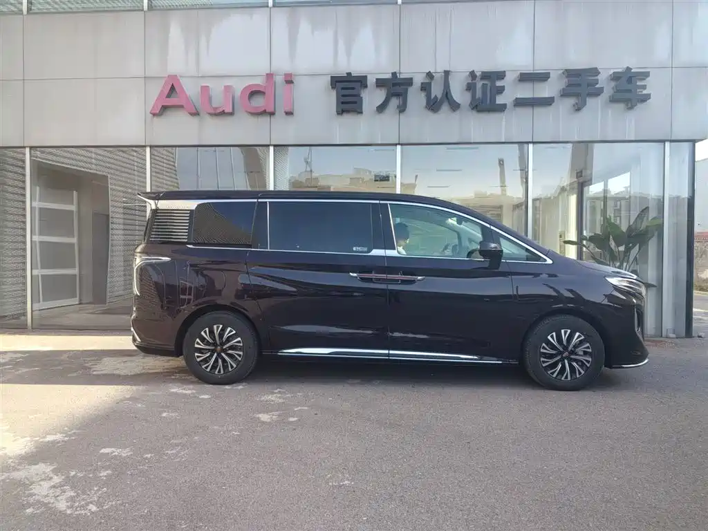 Hongqi HQ9 2024 Model 2.0T Luxury Edition фото 9