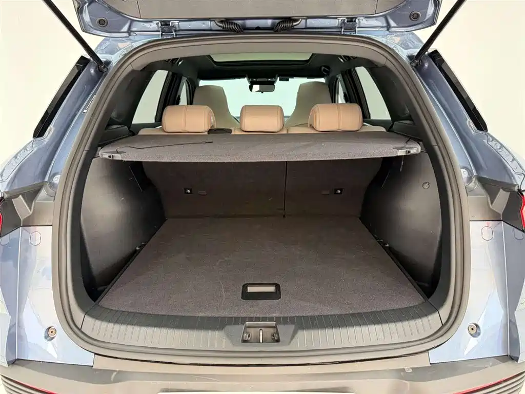 BYD SONGJIANG NEW ENERGY