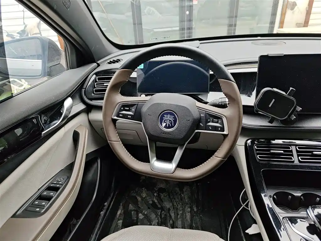 BYD Qin PLUS 2023 Champion Edition DM-i 55KM Leading фото 6