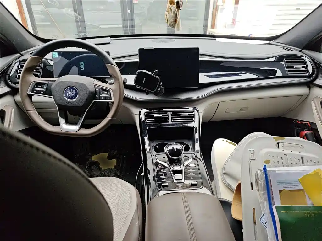 BYD Qin PLUS 2023 Champion Edition DM-i 55KM Leading фото 5