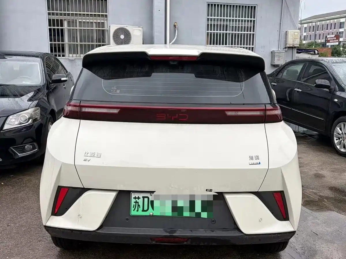 صورة 6 - BYD Seagull