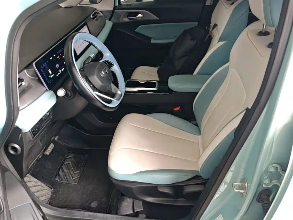 Geely Geometry E Firefly 2024 2024 Model 301km Starlight