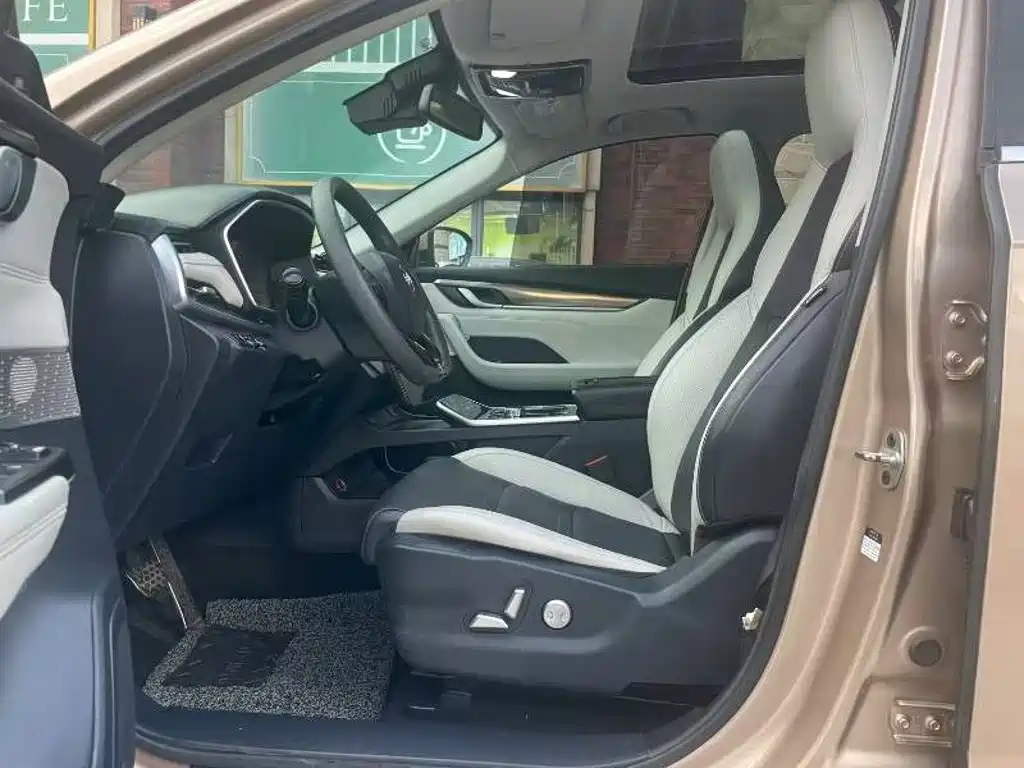 Weltmeister EX5 2019 2019 EX5 Smart Drive 2.0 Extra Innovation Edition 500