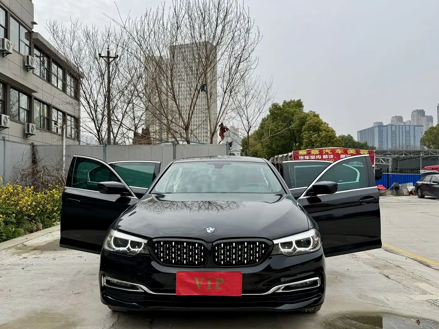 BMW 5 Series 2019 530Li Leading Luxury Package фото 3