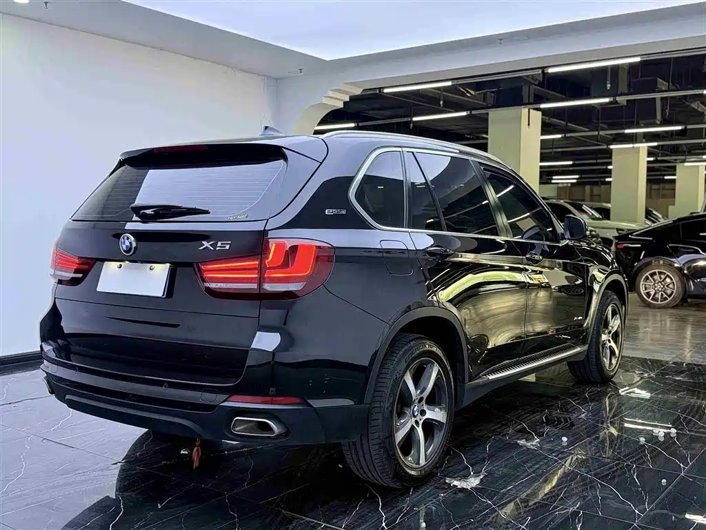 BMW X5 New Energy(Imported) 2016 xDrive40e фото 20