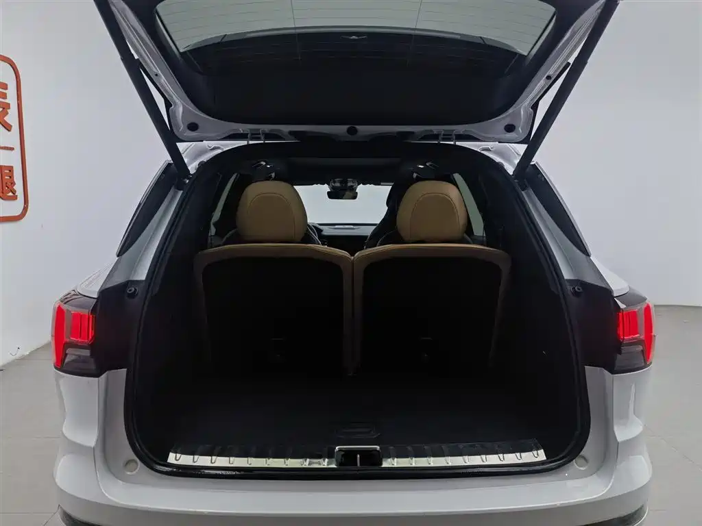 Lynk & Co 09 EM-P 2023 2.0TD EM-P Long Range PM 6-Seater фото 16