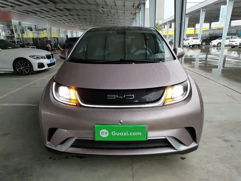 BYD Dolphin 2021 Model 405km Fashion Edition фото 3