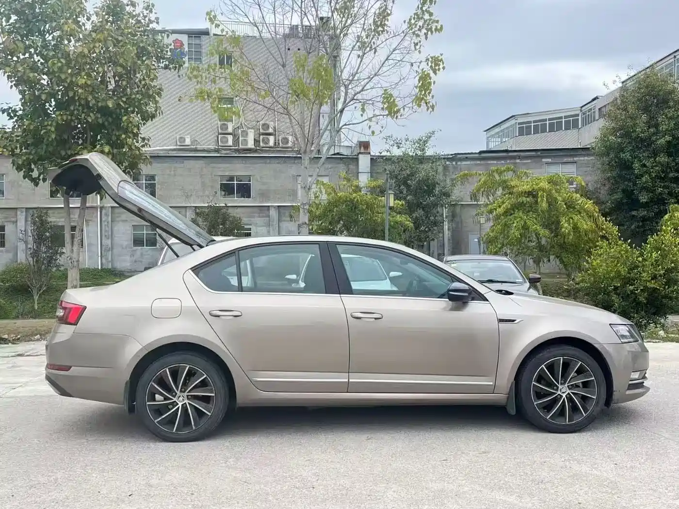 Škoda Octavia 2019 TSI280 DSG Smart Drive Luxury Edition China VI фото 6