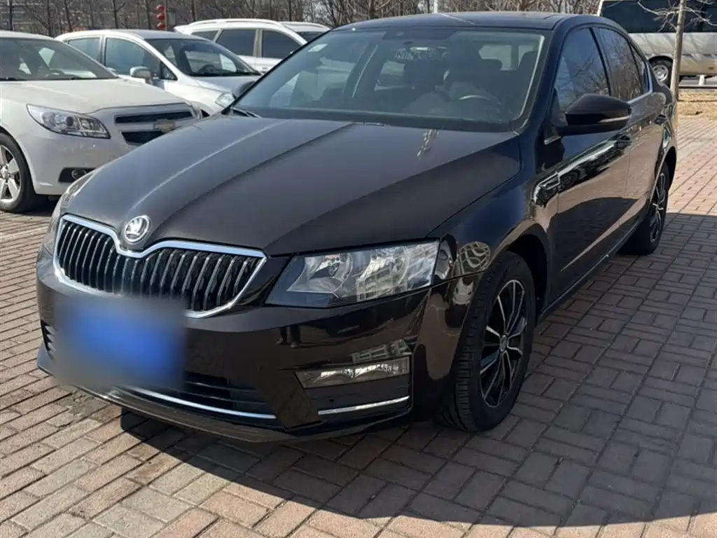 Škoda Octavia 2017 TSI280 DSG ZhiXing
