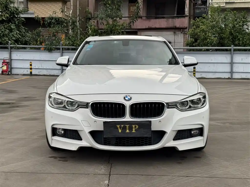 BMW 3 Series 2017 320Li M Sport фото 22