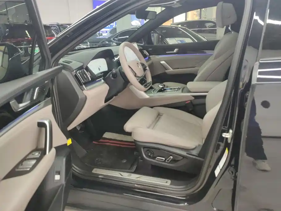 BYD Tang New Energy 2025 2025 DM-i 115KM Flagship