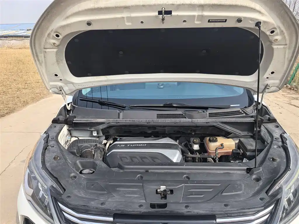 SAIC Maxus Maxus G50 2021 PLUS 1.5T Automatic Cruise Edition фото 11