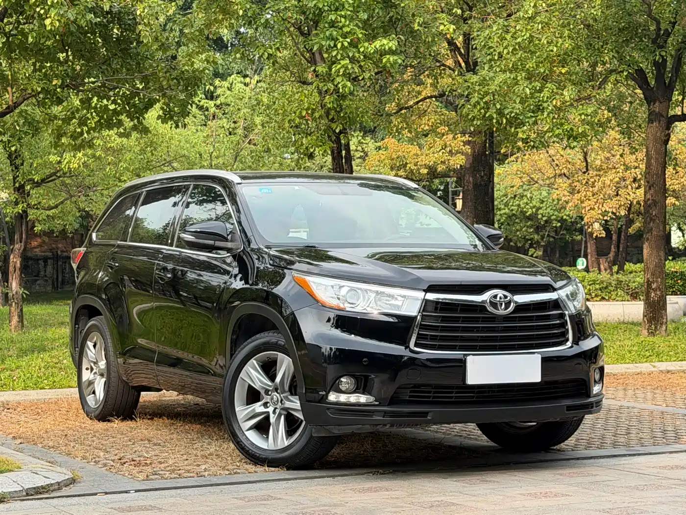 Toyota Highlander 2017 2.0T 4WD Premium 7-Seater фото 3