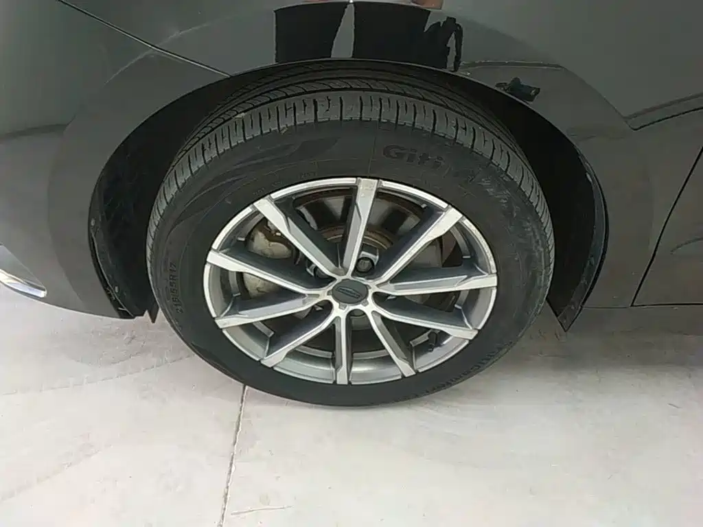 Geely Borui 2022 2021 1.8T Pilot Edition+